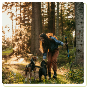 woman walking in forest with two dogs
